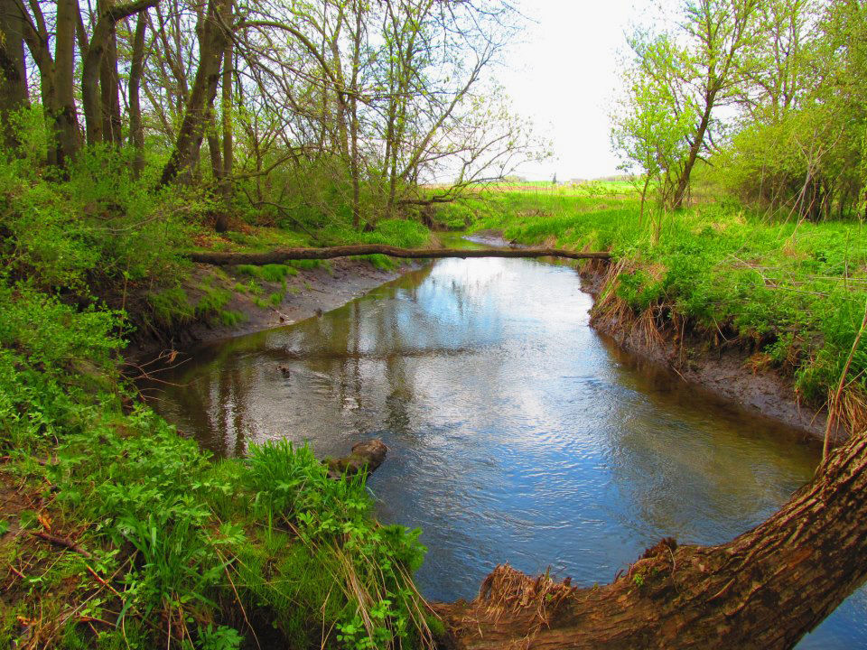 Sugar River farmers talk protection Crops