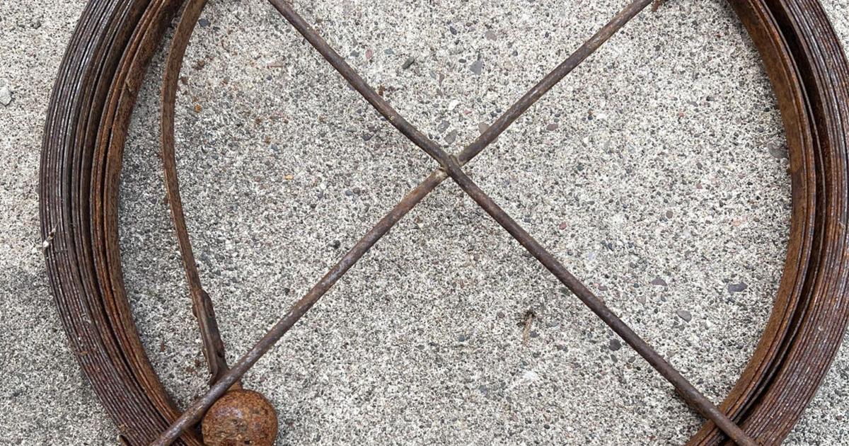 Sewer snake
