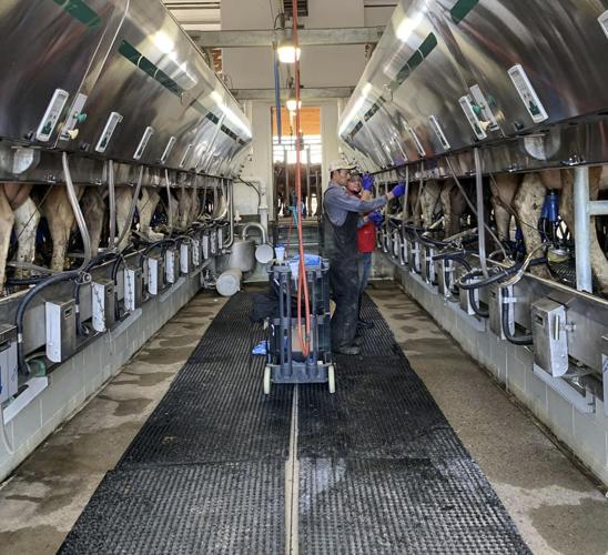 Milking parlor -- Walnutdale Farms