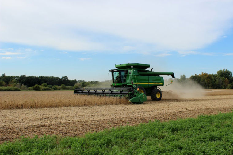 Nathan Feltis combining 2013 Feltis Farms soybeans.