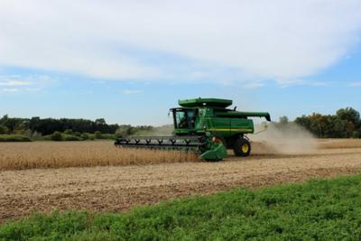 Nathan Feltis combining 2013 Feltis Farms soybeans.