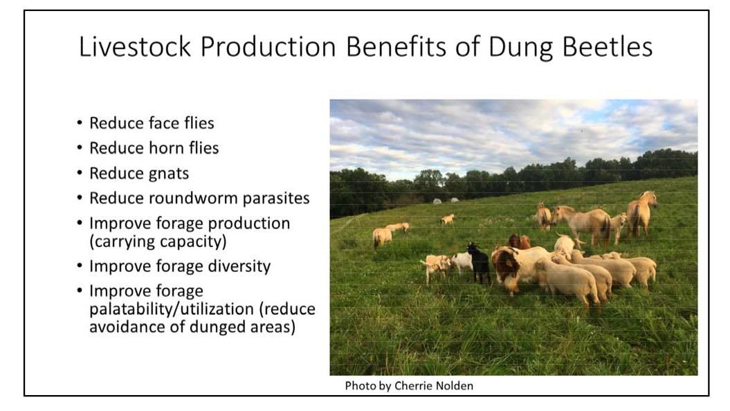 Livestockproduction benefits