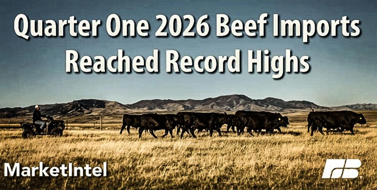 Beef imports