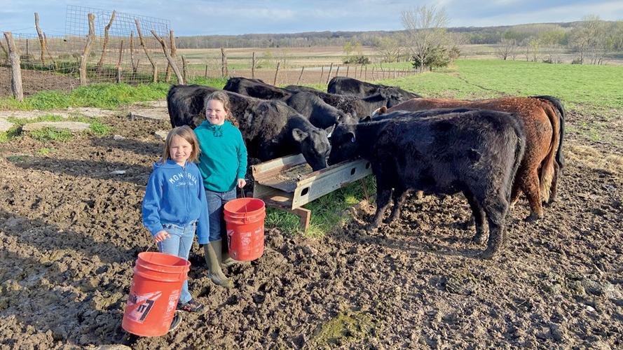 Abigail and Elisabeth Wright help feed cattle