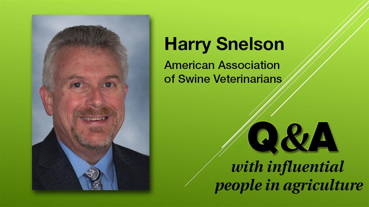 Harry Snelson