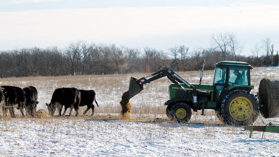 Strategies stretch winter feed for cattle
