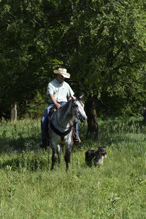 Ranch dog