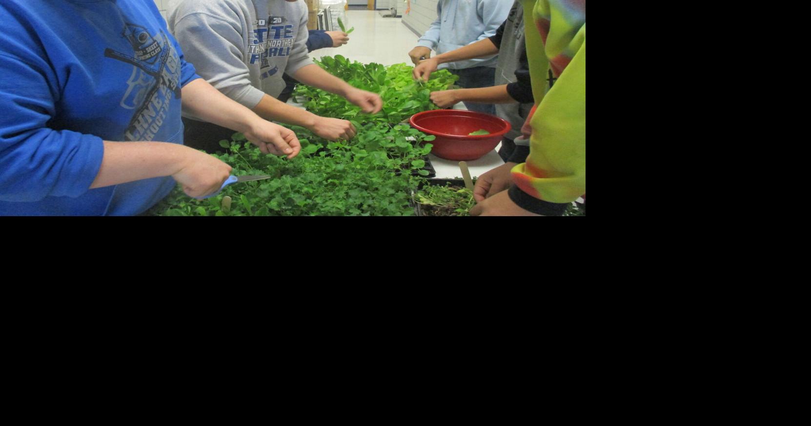 Passion of many makes ag addition possible at Lutheran High Northeast | Farm Youth