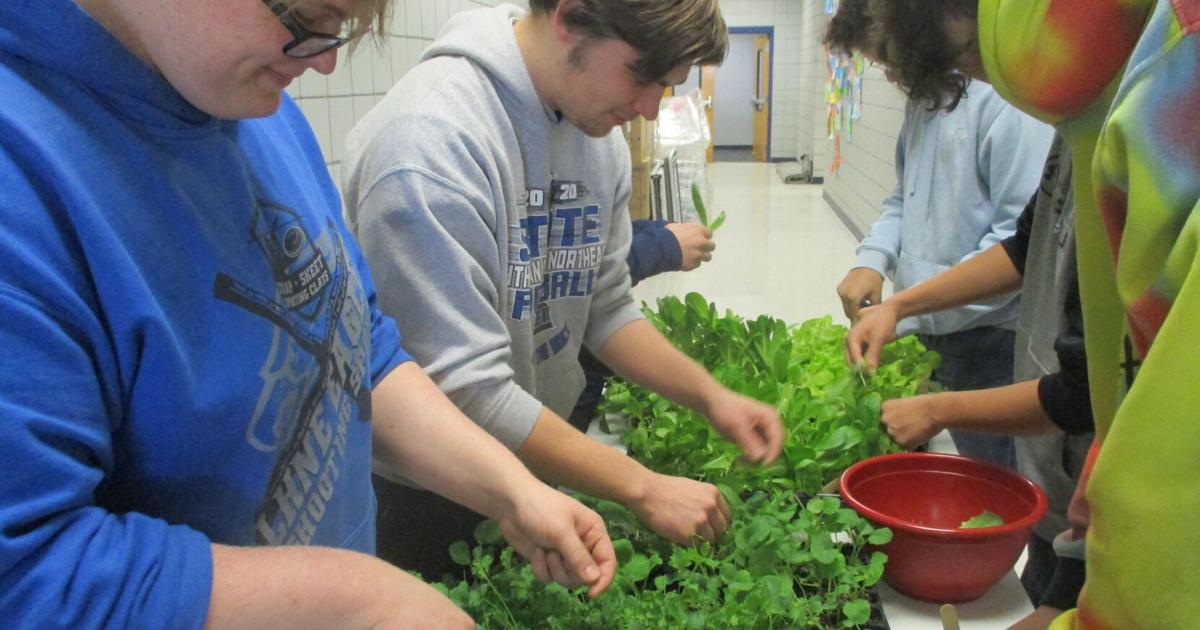 Passion of many makes ag addition possible at Lutheran High Northeast | Farm Youth