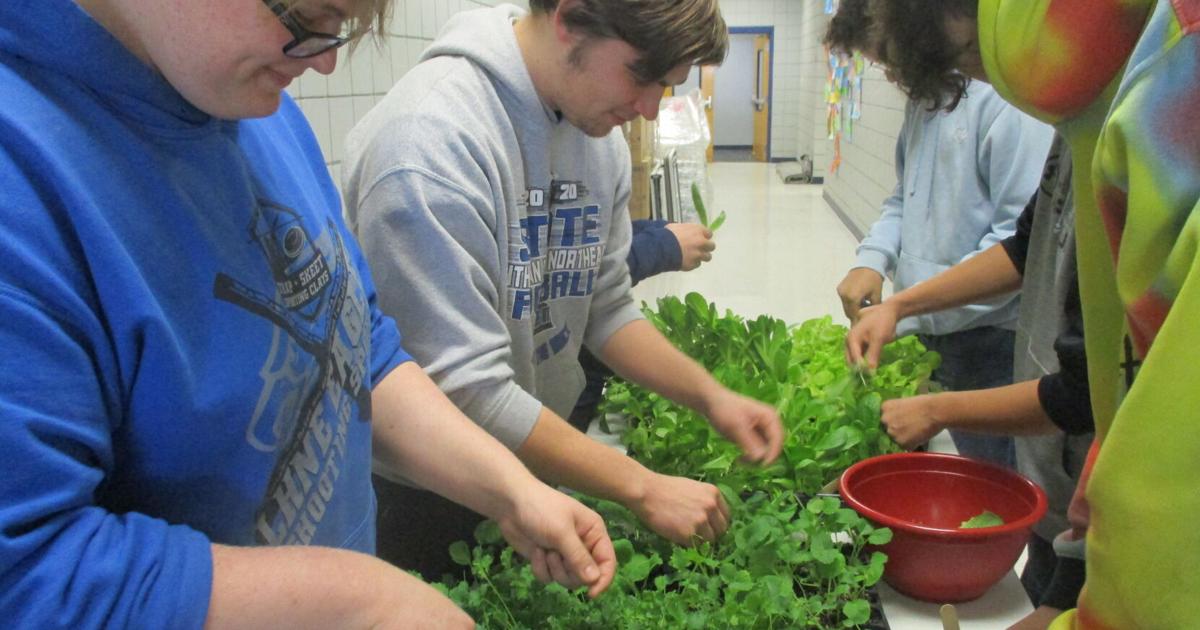 Passion of many makes ag addition possible at Lutheran High Northeast | Farm Youth Passion of many makes ag addition possible at Lutheran High Northeast | Farm Youth