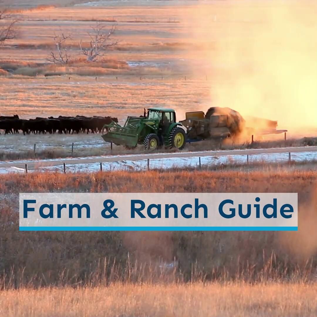 Farm & Ranch Guide Dec. 29 Video Preview