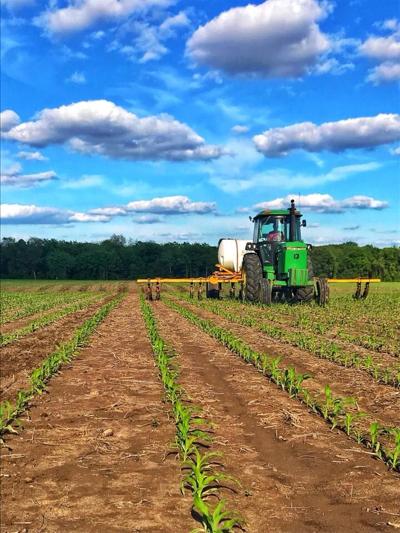 Montana FSA adds beginning farmer and rancher outreach staff