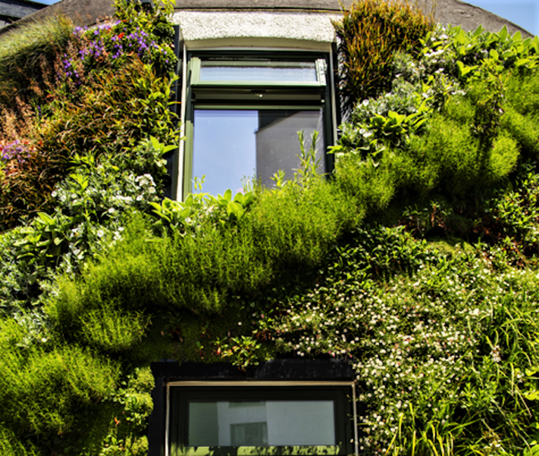 University of Plymouth campus building with living wall