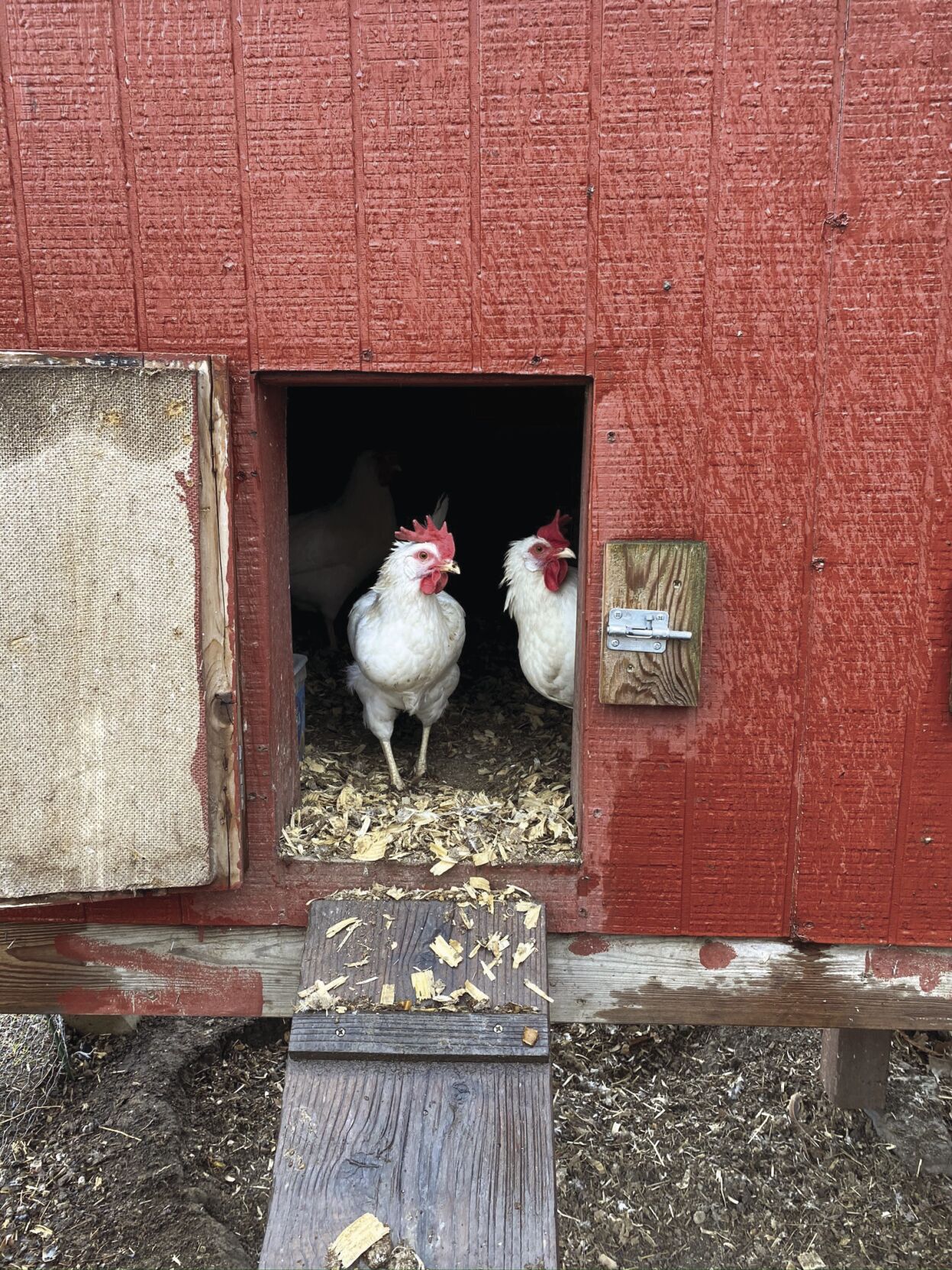 Wellman family blessed tenfold by agricultural community