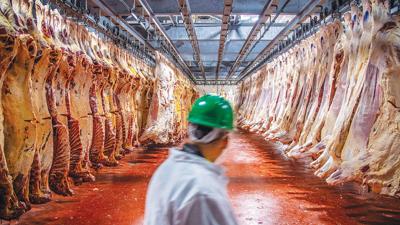 Meat inspector cold storage