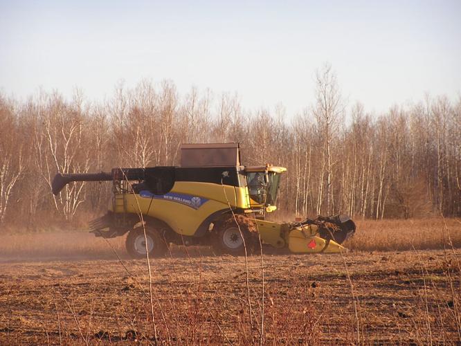 Combine in field