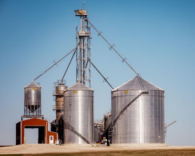 Grain system