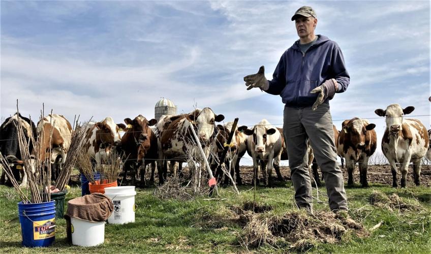 Bob Micheel discusses tree planting
