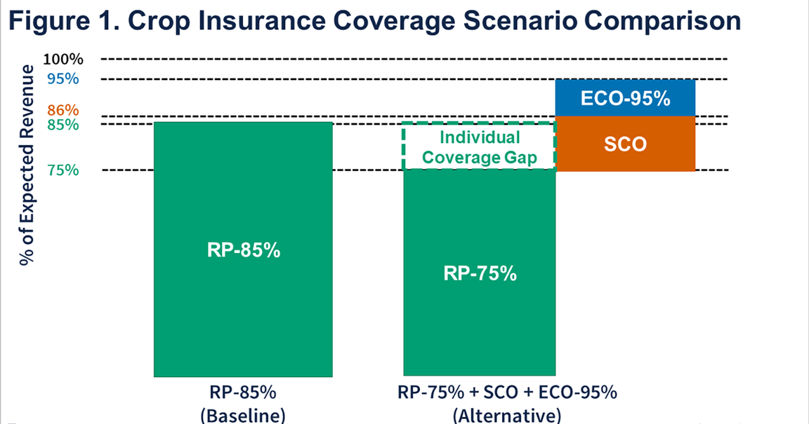 insurance coverage graphic