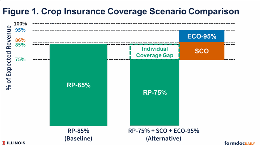 insurance coverage graphic