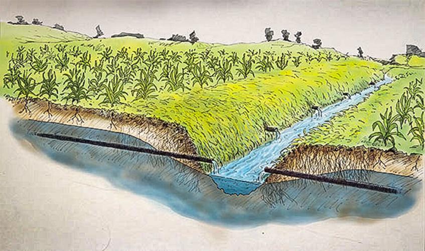 Tile drainage in field