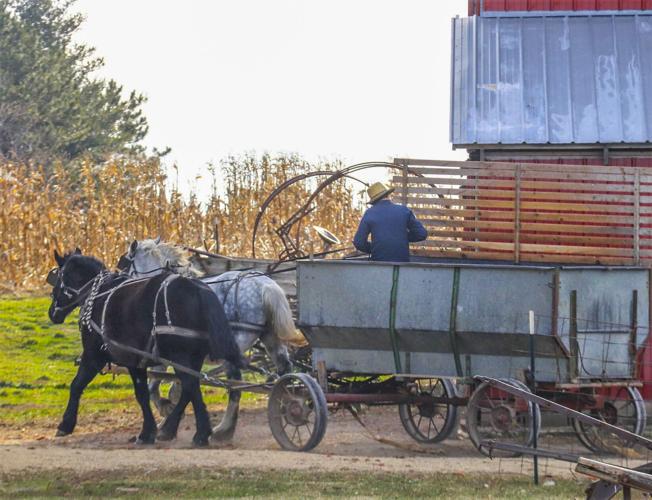 Amish wagon