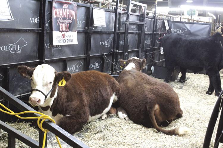 SELS 2024 (23) - worked.jpg