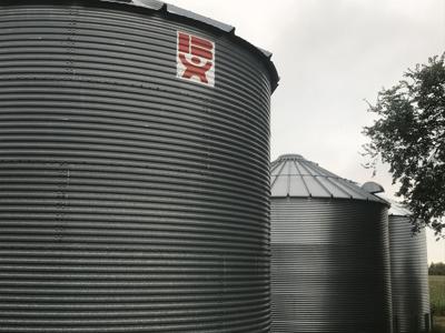 Grain bins