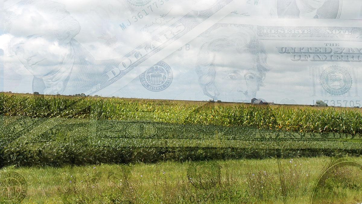Corn and soybean fields with ghosted money