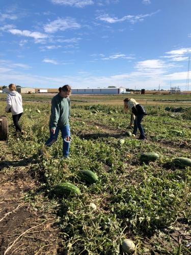 Weeping Water enterprise 4.jpg