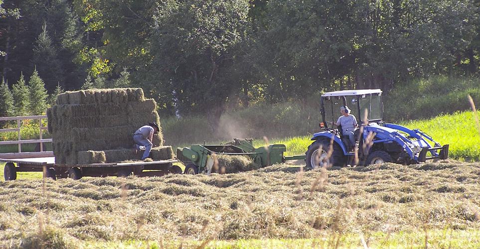 Hay is stacked