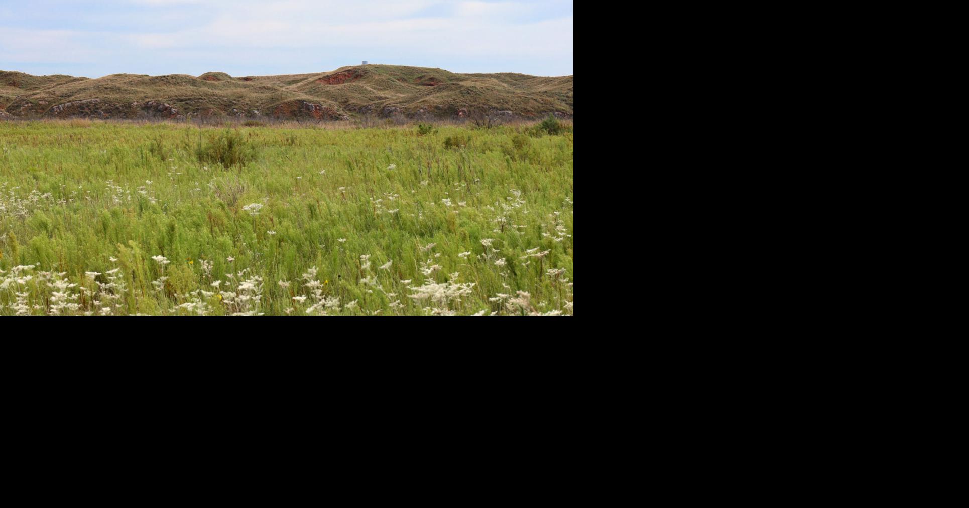 Red Hills rancher 2.jpg