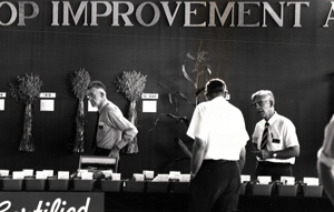 SDCIA State Crops Show.png