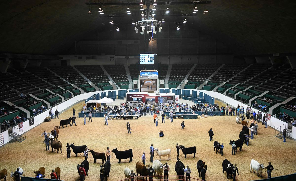 Beef Expo a family affair