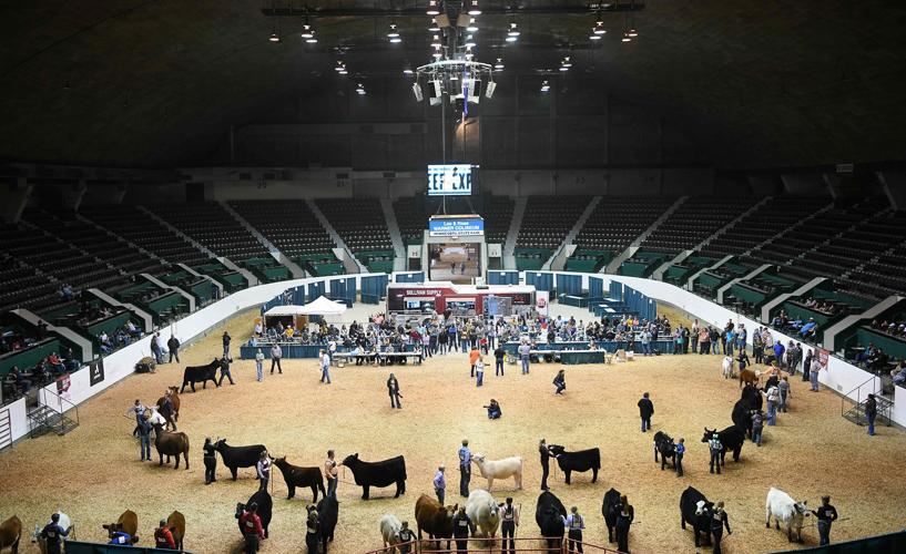 mn-beef-expo.jpg