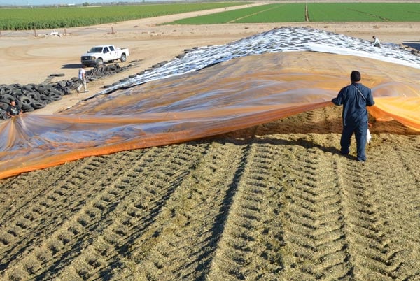 Know your silage plastic potential