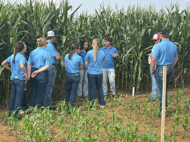 college kids to brazil