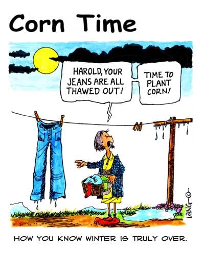 Corn Time by Bob Lang