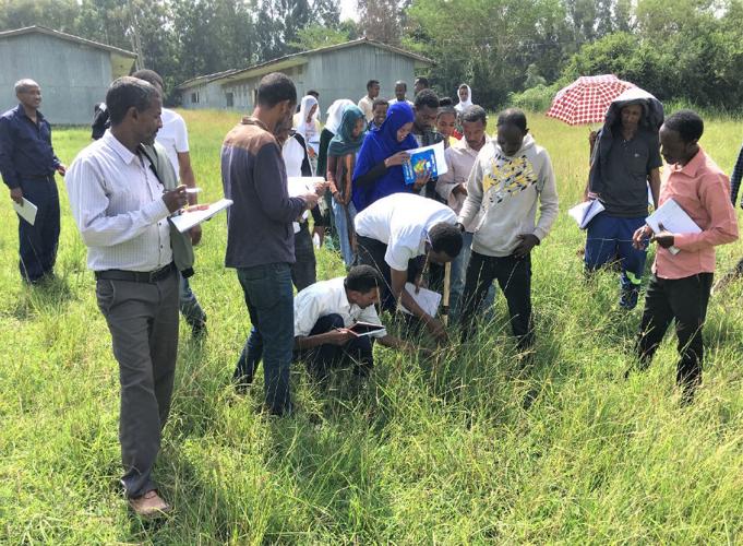 Ethiopian development agents use pasture stick