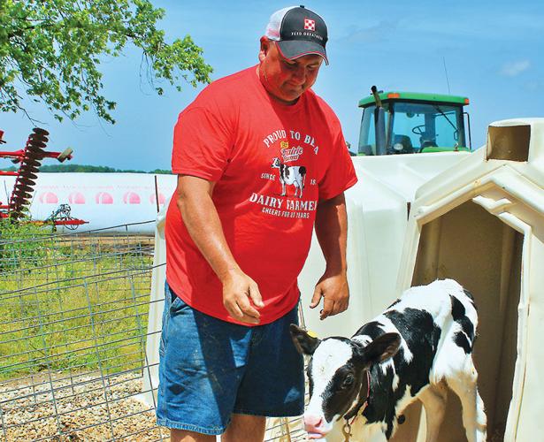 Frank Doll checks on a calf