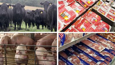 Live and processed Beef and Pork