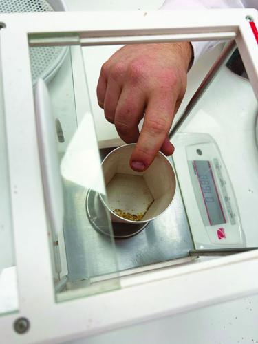 Arg Grain Port 6 worked.jpg