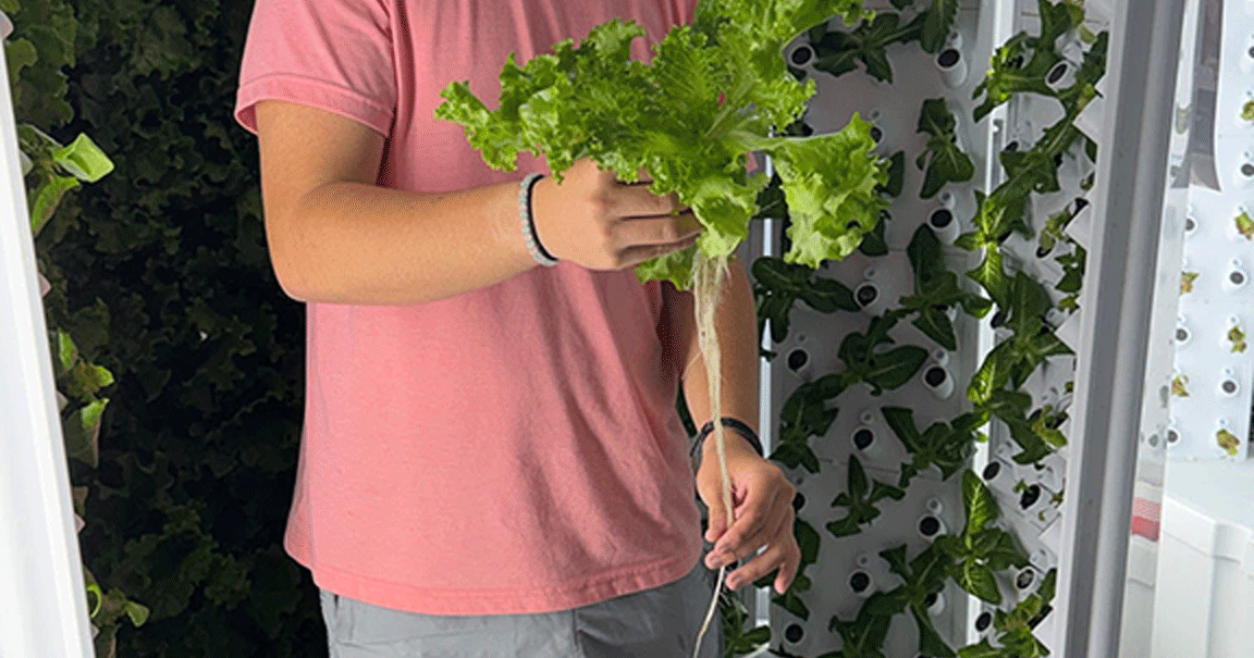 Mattoon High School FFA hydroponics system