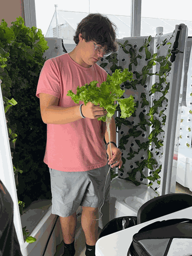 Mattoon High School FFA hydroponics system