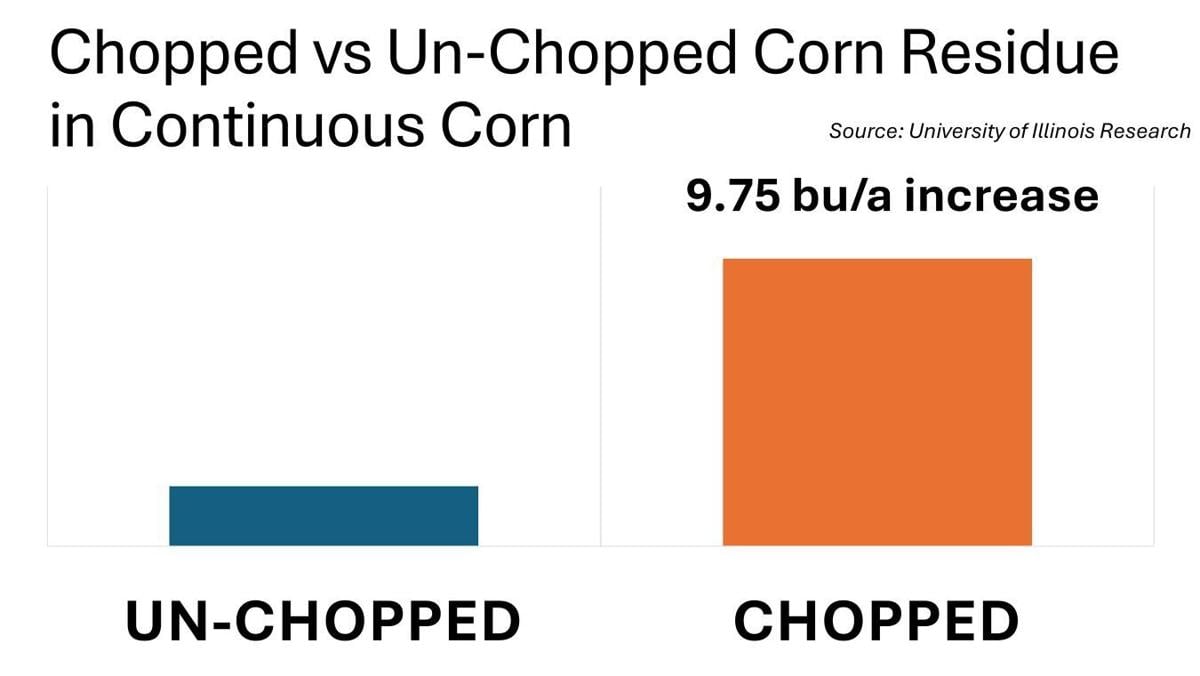 Chopped corn