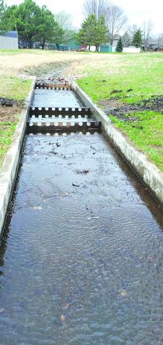 Water stewardship filter 1.jpg