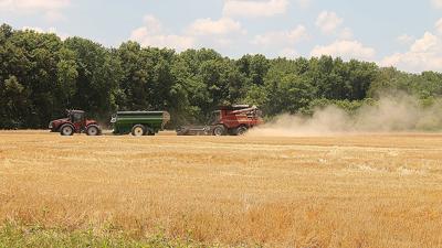 IL wheat harvest
