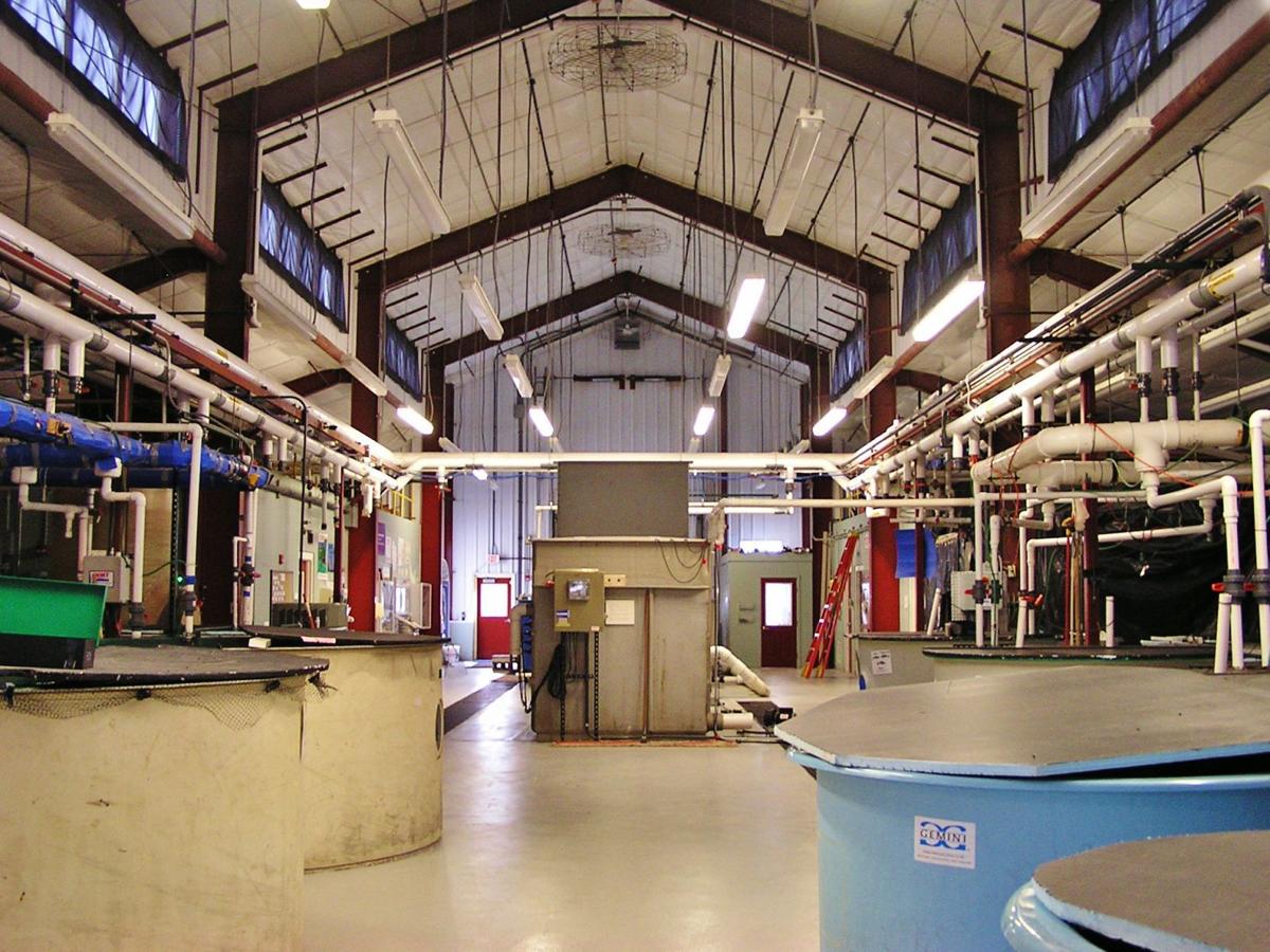 Aquaculture Adds New Meaning To Barn Business Agupdate Com