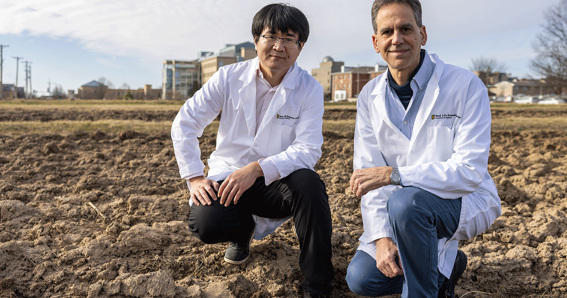 Missouri researchers uncover how plants regulate root growth