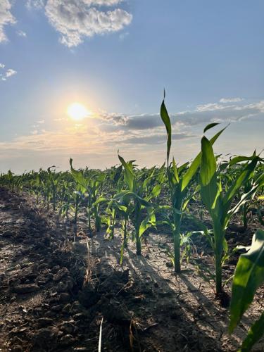 July market outlook 1.jpg